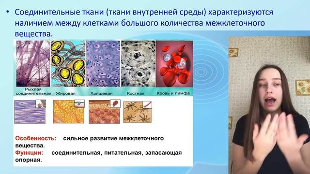 Bio-ege | Урок №10 Ткани эпителиальные, соединительные, мышечные и нервная готовимся к ЕГЭ биология смотреть онлайн