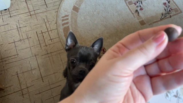 ВКУСНЯШКИ / Я НЕ СКАЗАЛА «ДА» смотреть онлайн