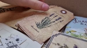 Оформление странички в травнике// О чем писать в травнике?//goblincore