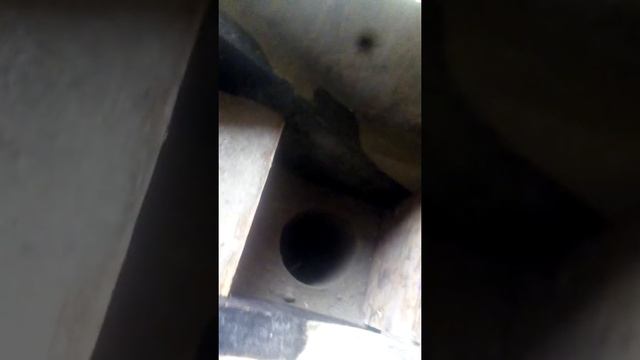 15 сентября 2019 г.дом из опилок