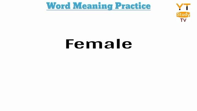 Word Meaning English to Hindi • Daily Use Word • English Word List With Meaning in Hindi. смотреть онлайн