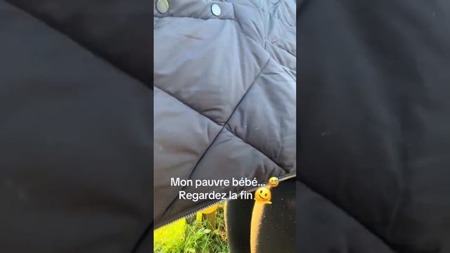 Нормально нырнул смотреть онлайн