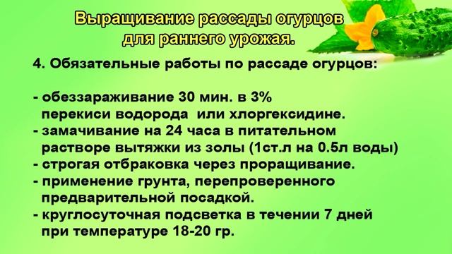 Рассада для майских ранних огурцов смотреть онлайн