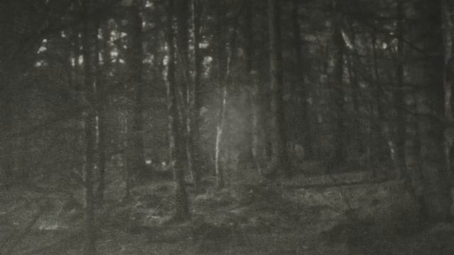 #7 - 'As Memories Fade' смотреть онлайн