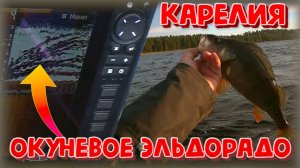 Карелия. Окуневое эльдорадо. Рыбалка на среднем Куйто. Северная Карелия.