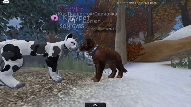 Мини Фильм Секретная Дружба Коты Воители 6 часть смотреть онлайн