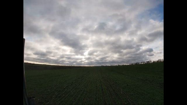 Выход на зайца, а попали на куропаток.Первые промахи сезона и хороший трофей. смотреть онлайн
