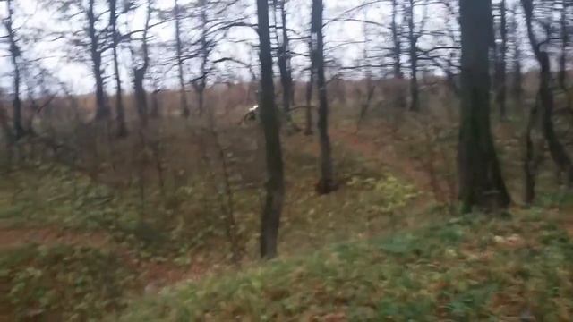 Stels enduro 250 Motoland XR 250 в лесу. смотреть онлайн