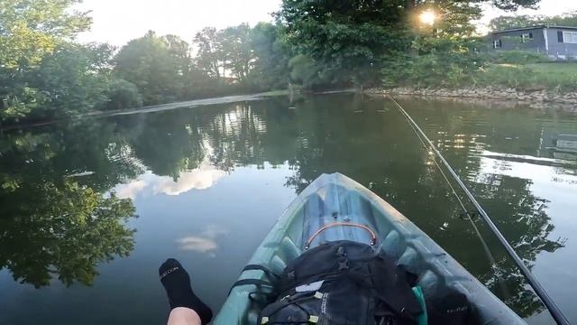 Tiki Sticks. (Wave Worm) 5' FAT. Summertime KAYAK Bass Fishing In HEAVY Grass. #nature #animals смотреть онлайн