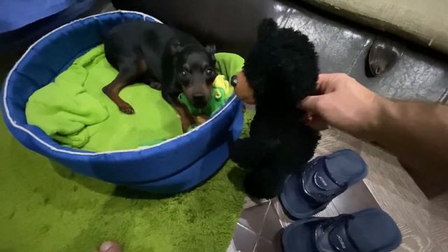 Дай кусочек смотреть онлайн