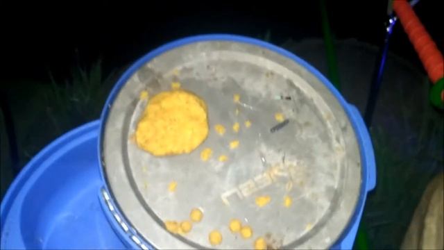 Херабуна.Черневский пруд.Бутово.マブナ 釣り10-11.08.17 смотреть онлайн