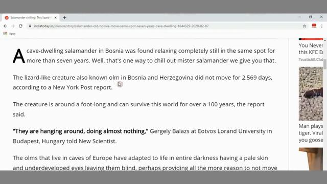 HAVE YOU SEEN THIS #STRANGE FISH?? смотреть онлайн