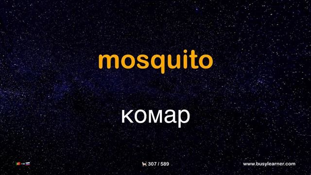 Полезные португальские слова и фразы по темам для начинающих.Учим португальский язык, слушая музыку смотреть онлайн