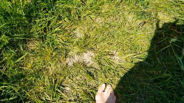 Meditation- Wer Bin Ich? смотреть онлайн
