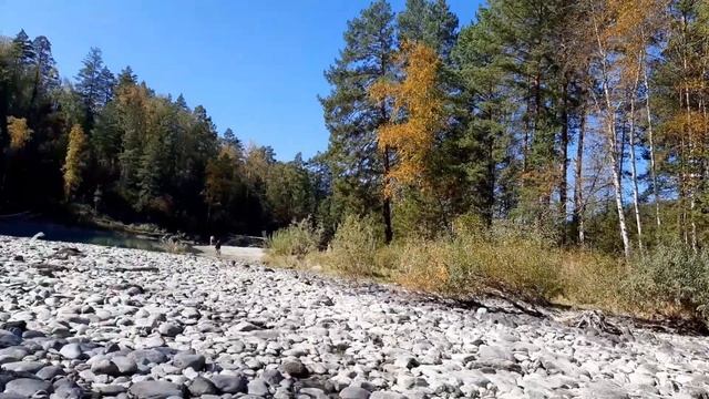 Голубые озера.Горный Алтай.Аскат.Сосновый лес./Blue lake.mountain Altai.Askat. смотреть онлайн