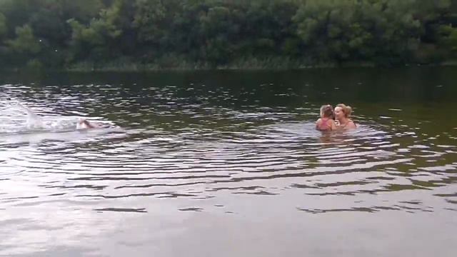 Купаемся в речке после ливня смотреть онлайн