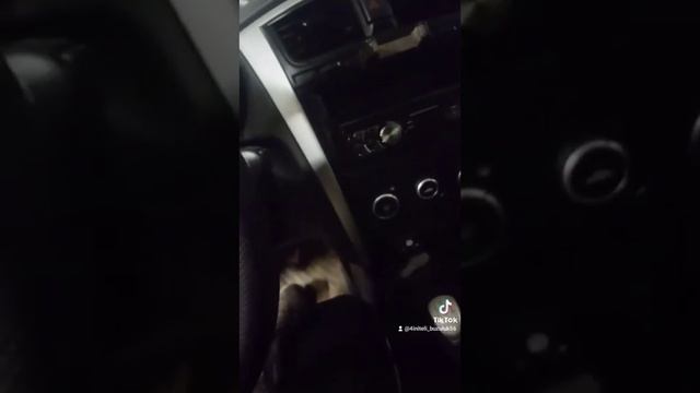 Чиним электроусилитель смотреть онлайн