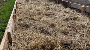 Формирование буртов для разведения красного калифорнийского червя  на улице. Кормление, полив.