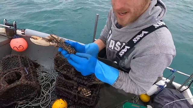 Variety of Big Crustaceans in my Lobster Pots ! Catch n Cook - Commercial Crab & Lobster Fishing смотреть онлайн