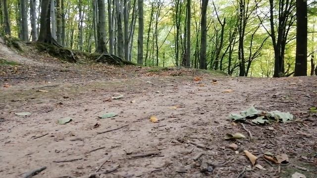 Знято на Huawei P Smart+ | Огляд МТБ покришок Hutchinson Skeleton та Hutchinson Black Mamba смотреть онлайн