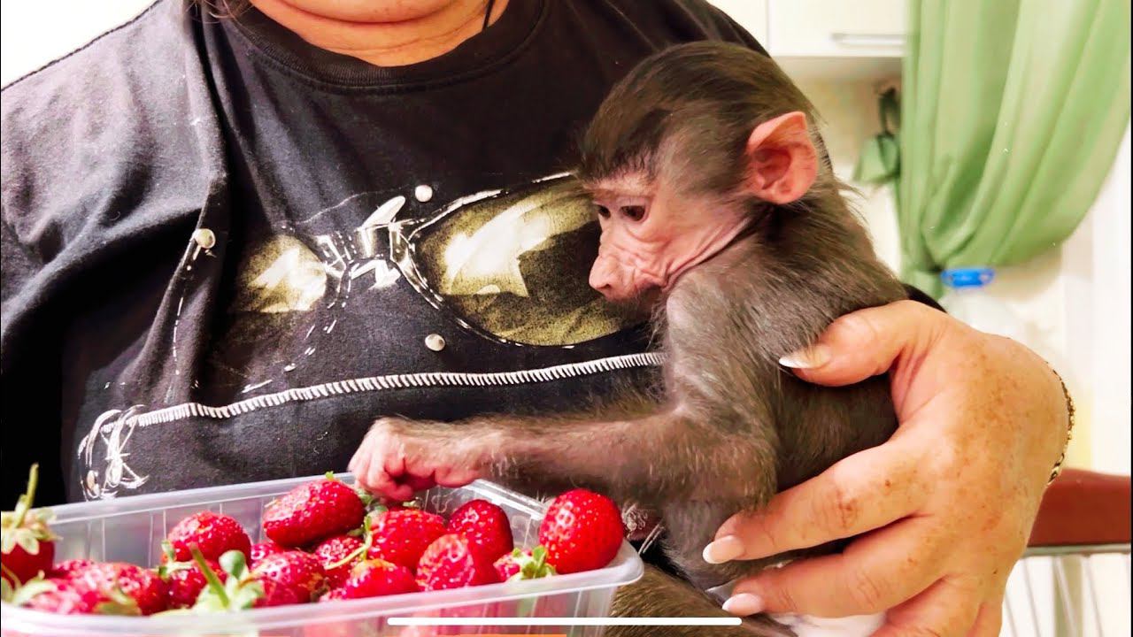 Даем Люсе ВИТАМИНЫ, а Татьяна надевает памперс, но Люська обиделась смотреть онлайн