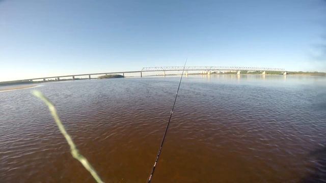 Поиски верхогляда. Большероты. Calcutta Conquest BFS, Teton TTC-662L. смотреть онлайн