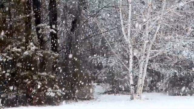 Сорока ворона смотреть онлайн