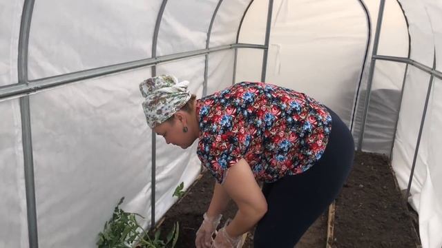 как НЕ НАДО сажать ПОМИДОРЫ!??? смотреть онлайн