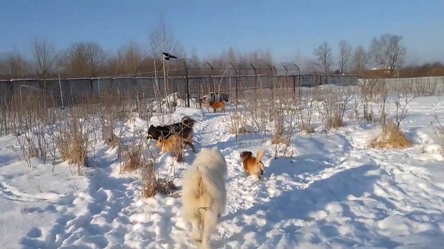 23.02.23. с праздником всех причастных. смотреть онлайн