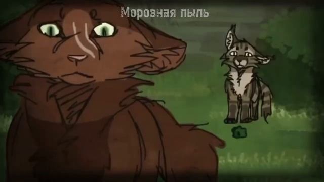 Коты-Воители °Острозвëзд° клип - {I'm a mess} смотреть онлайн