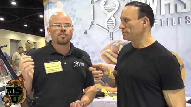 Scaleless Ball Python UP CLOSE: Daytona Reptile Breeders Expo- Part 2 смотреть онлайн