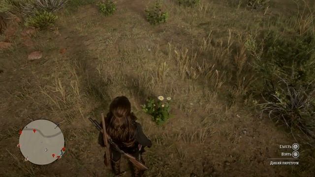 Red Dead Redemption 2 Дикий Пиретрум смотреть онлайн