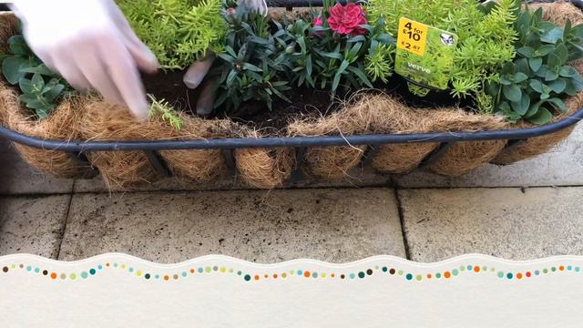 PLANTING WINDOW BASKET/HAYRACK/ sedum/petunias/carnations смотреть онлайн