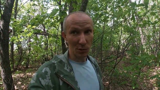 Ставим ловушки для бродячих роев