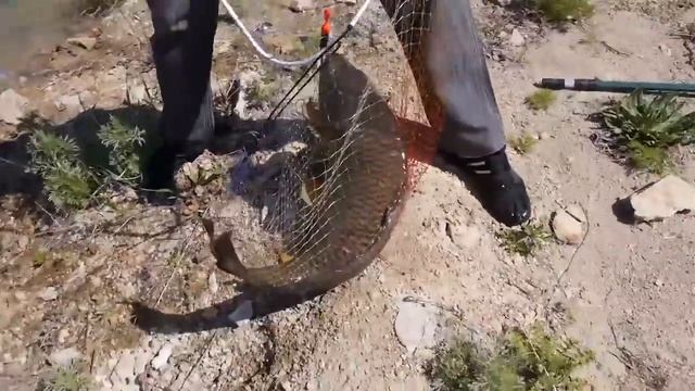 Пойман Челябинский монстр смотреть онлайн