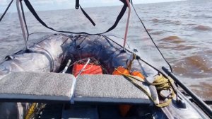 Азимут Эверест 405, мотор 18 л.с