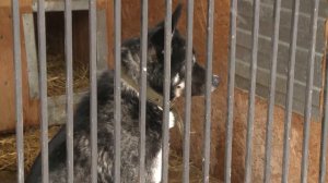 Власть, общество, человек 24.02.2022