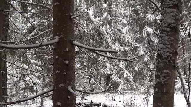 Рябчик зимой смотреть онлайн