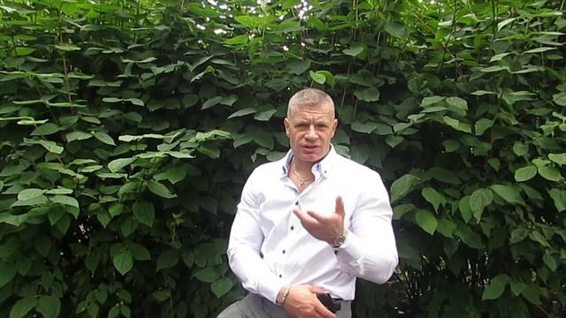 ЗАКОН ВСЕЛЕННОЙ