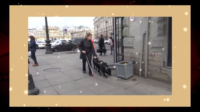Ко Дню белой трости смотреть онлайн