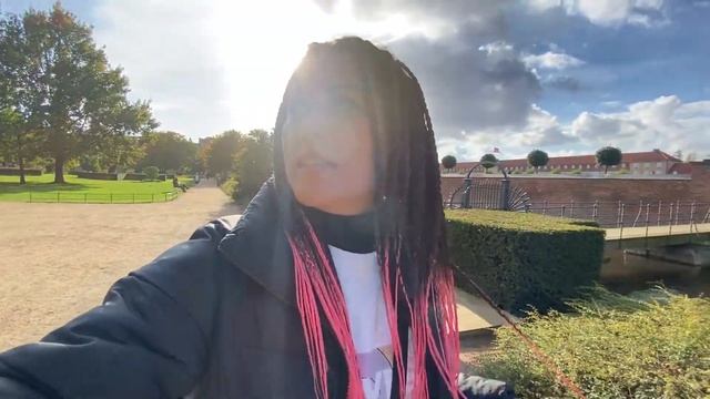 КОПЕНГАГЕН. Опасный район. Хостел с капсулами. Цены на еду и проживание. Обстановка. Октябрь 2022 смотреть онлайн