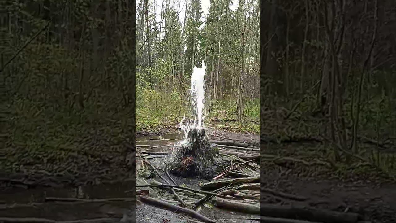 Гатчинские гейзеры смотреть онлайн