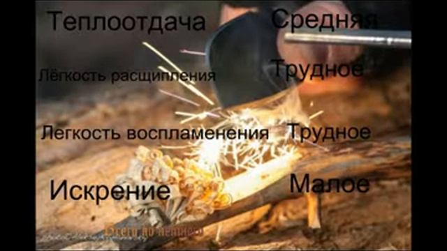 Характеристики горения дров из различных пород дерева.часть первая Заходите смотрите подписывайтесь смотреть онлайн