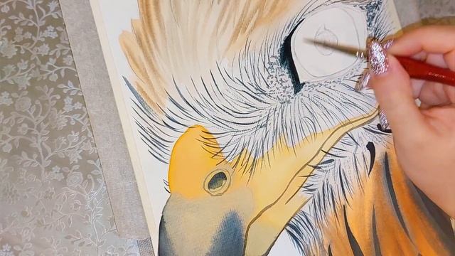 Рисую орла акварелью, а так же рассказываю кто это. смотреть онлайн