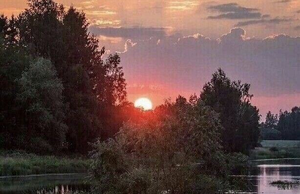 Не научили формату