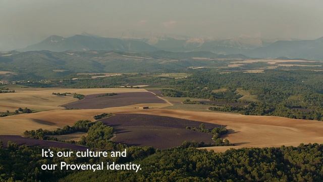Heritage Of Provence: Lavender – Interview With Olivier Baussan | L'Occitane