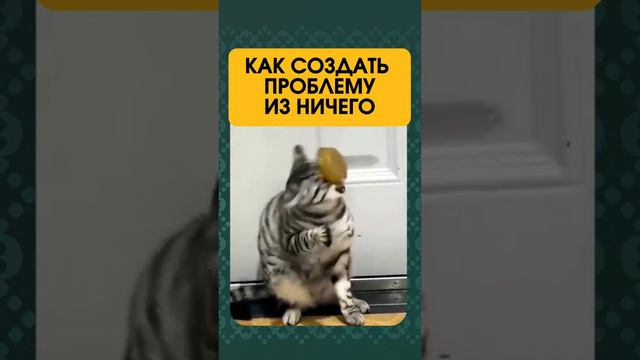 1000002244.mp4 смотреть онлайн