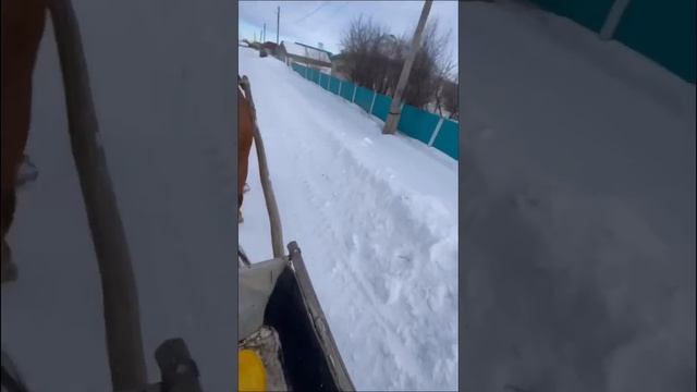 Объезжаем лошадь на санях. День второй. смотреть онлайн