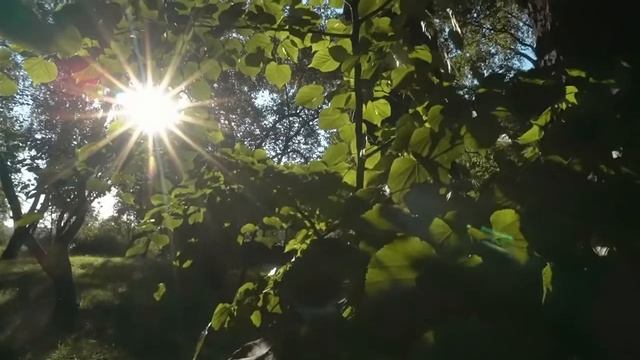 Эко-отель «Актер-Руза» Старая Руза