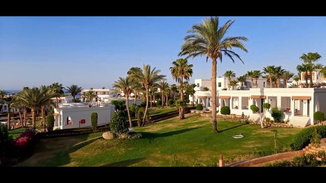 6-ть утра в Клаб Рифе... 20210714 смотреть онлайн